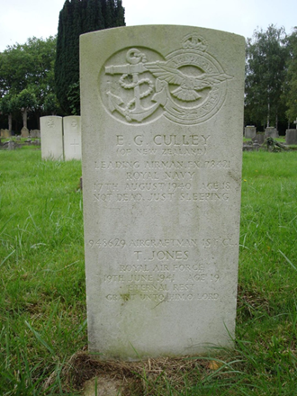 Inline image